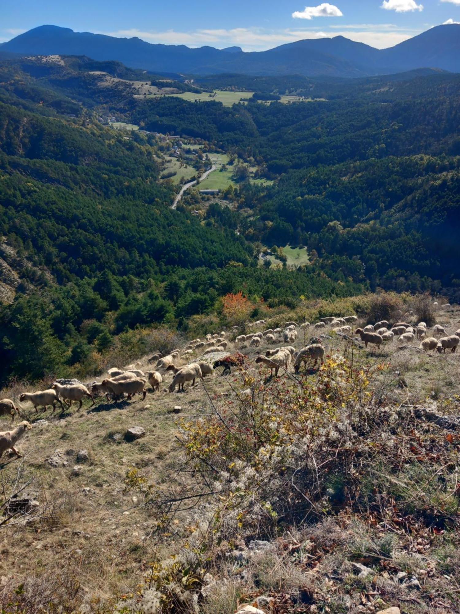 La Mountagna Lodge